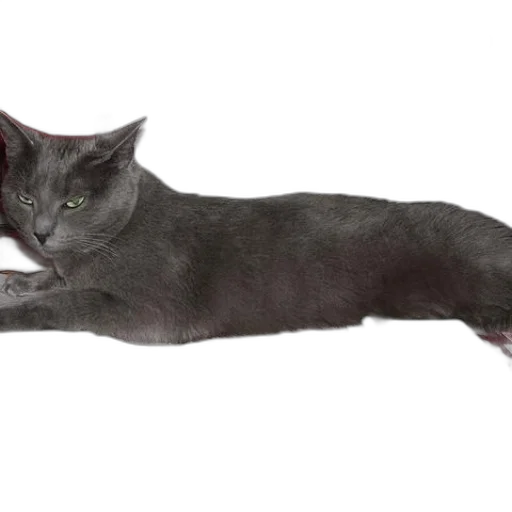 animal, creature, staff, sword transparent PNG cut-out
