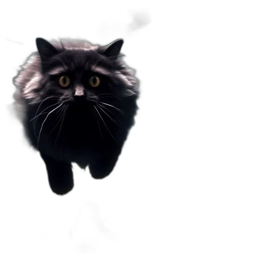 animal, creature, dragon, staff transparent PNG cut-out