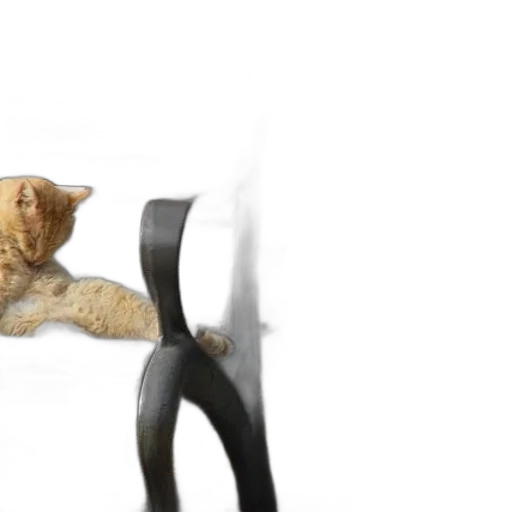 staff, furniture, animal, 3d render transparent PNG cut-out