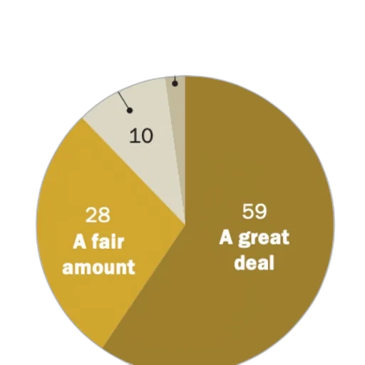 pie, chart, shows, most transparent PNG cut-out