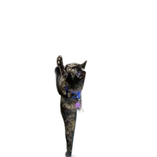 staff, animal, creature, robot transparent PNG cut-out