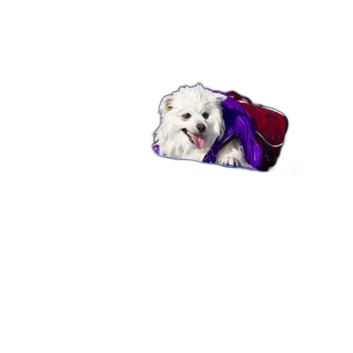 animal, creature, staff, umbrella transparent PNG cut-out
