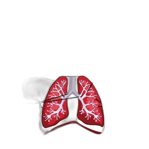 mask, jacket, labeled, diagram transparent PNG cut-out