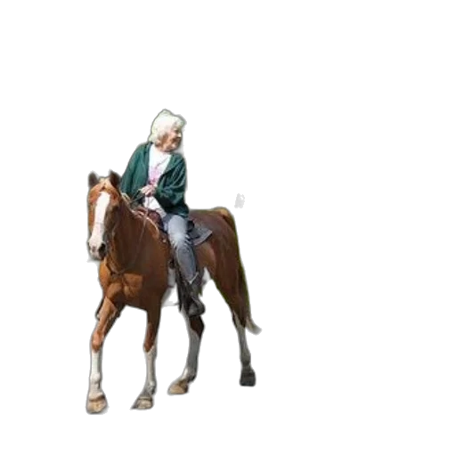 animal, staff, jacket, creature transparent PNG cut-out