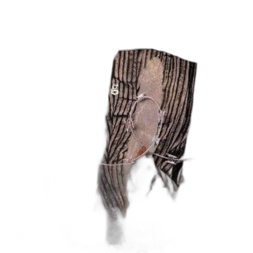 dress, furniture, shoes, jacket transparent PNG cut-out