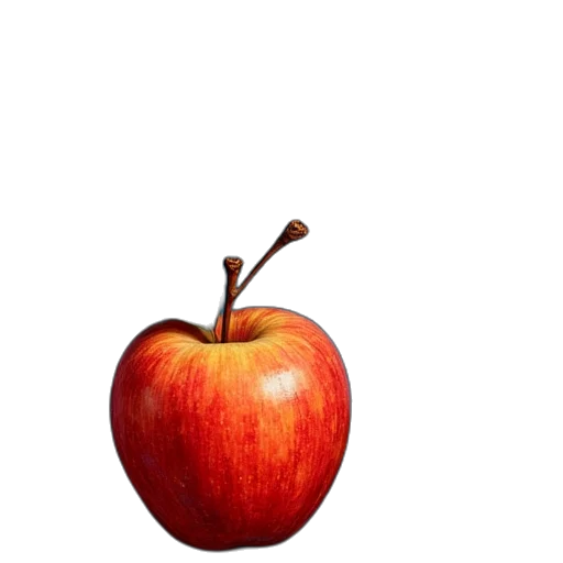 food, crown, weapon, tree transparent PNG cut-out