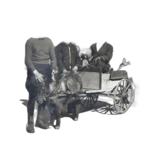 jacket, car, furniture, staff transparent PNG cut-out