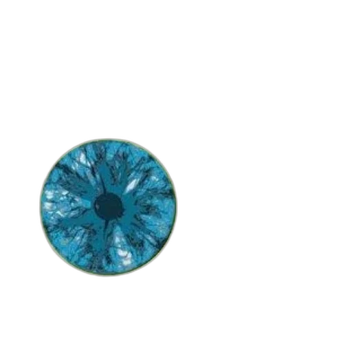 jewelry, crown, flower, umbrella transparent PNG cut-out