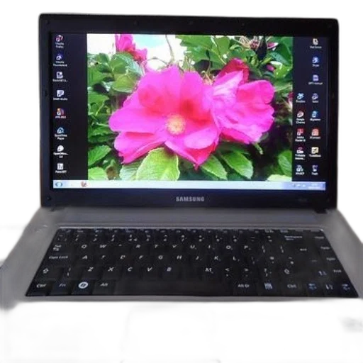 flower, samsung, laptop, vibrant transparent PNG cut-out