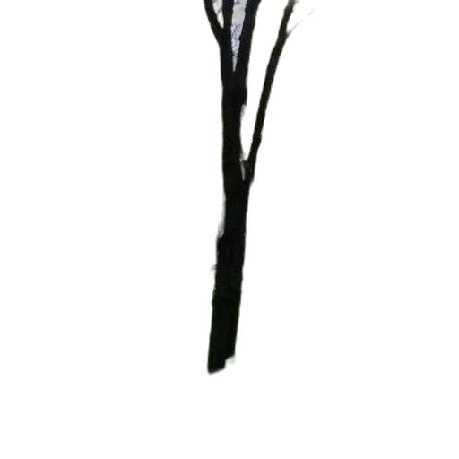 staff, tree, crown, weapon transparent PNG cut-out