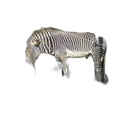 animal, creature, jewelry, furniture transparent PNG cut-out
