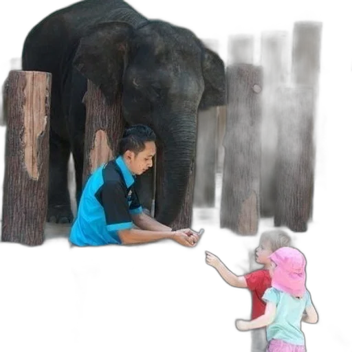 animal, creature, umbrella, concept art transparent PNG cut-out
