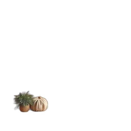food, hat, tree, hair transparent PNG cut-out