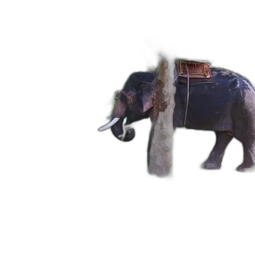 animal, creature, weapon, dragon transparent PNG cut-out