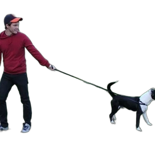 staff, animal, weapon, creature transparent PNG cut-out