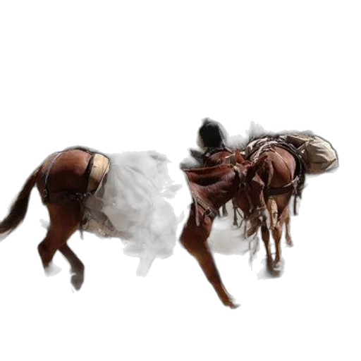 animal, hair, creature, dragon transparent PNG cut-out