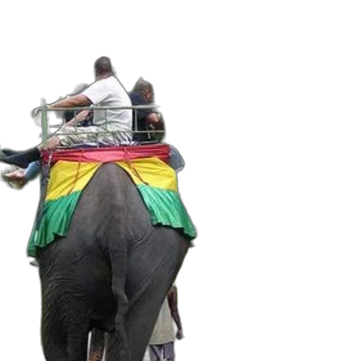 animal, car, staff, umbrella transparent PNG cut-out