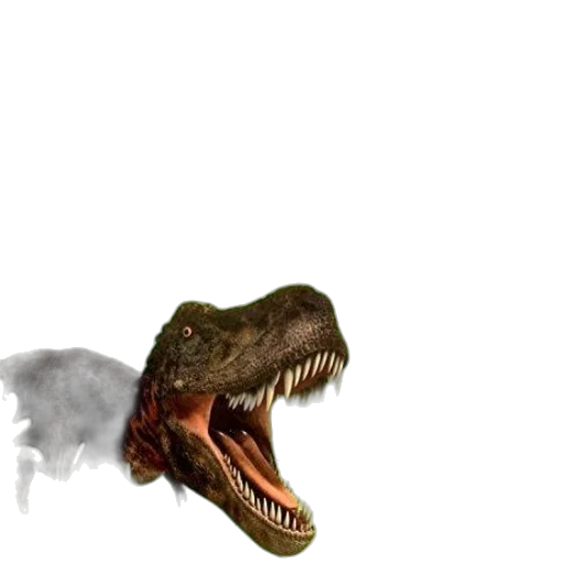 creature, animal, dragon, face transparent PNG cut-out