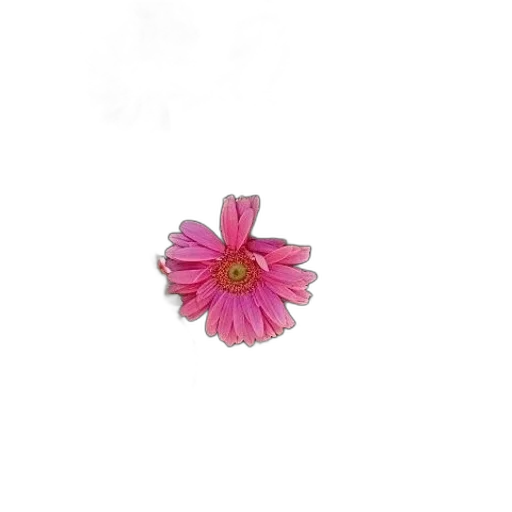 flower, jewelry, crown, staff transparent PNG cut-out