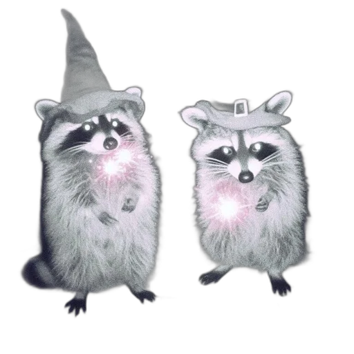 hat, animal, crown, creature transparent PNG cut-out