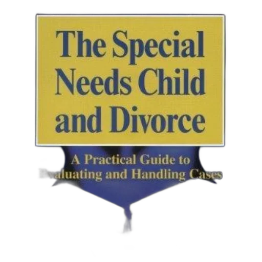 special, needs, child, divorce transparent PNG cut-out