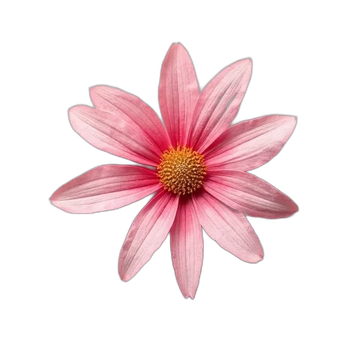 flower, jewelry, crown, staff transparent PNG cut-out