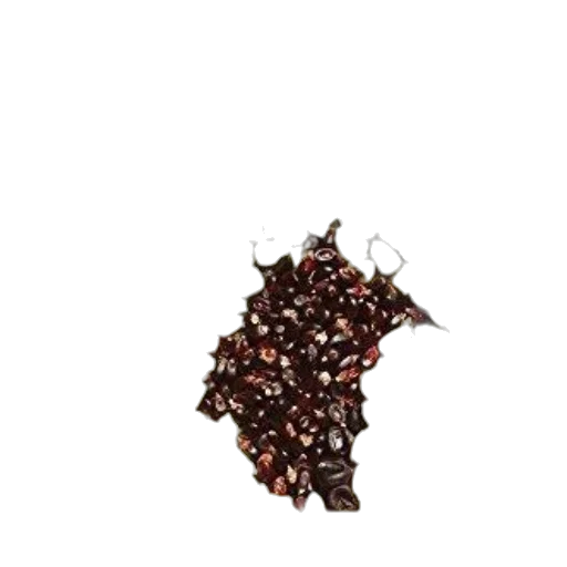 food, crown, dragon, staff transparent PNG cut-out