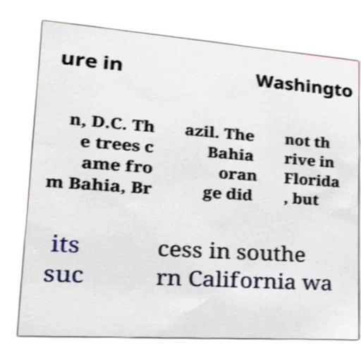 text-based, image, discussing, success transparent PNG cut-out