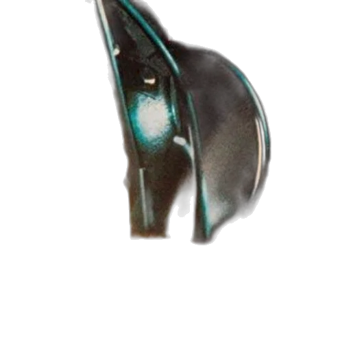 mask, jewelry, animal, staff transparent PNG cut-out