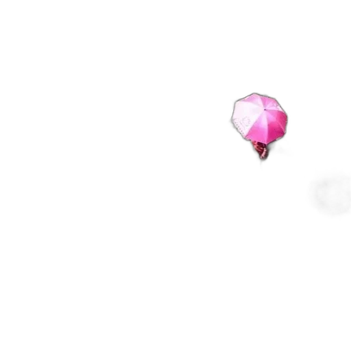 umbrella, flower, weapon, food transparent PNG cut-out
