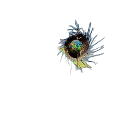 hair, flower, staff, crown transparent PNG cut-out