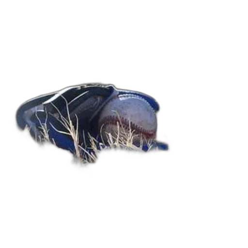 jewelry, crown, shoes, hat transparent PNG cut-out
