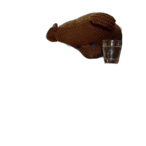 hat, bottle, jacket, mask transparent PNG cut-out