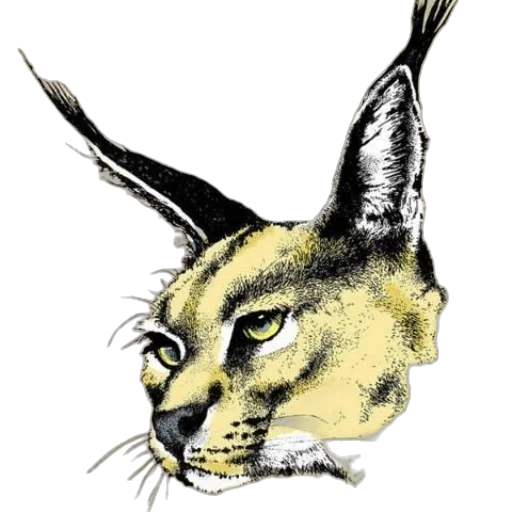 animal, staff, mask, hat transparent PNG cut-out