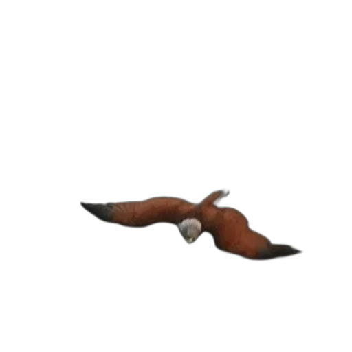 animal, shoes, weapon, staff transparent PNG cut-out