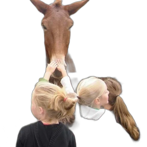 animal, hair, staff, hat transparent PNG cut-out