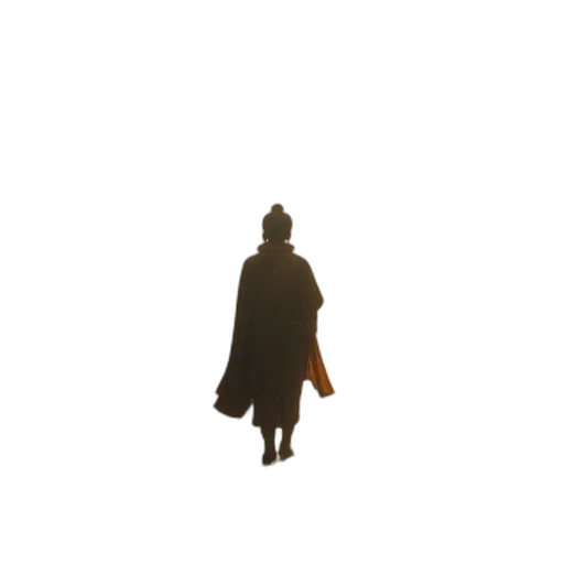 jacket, staff, hat, dress transparent PNG cut-out