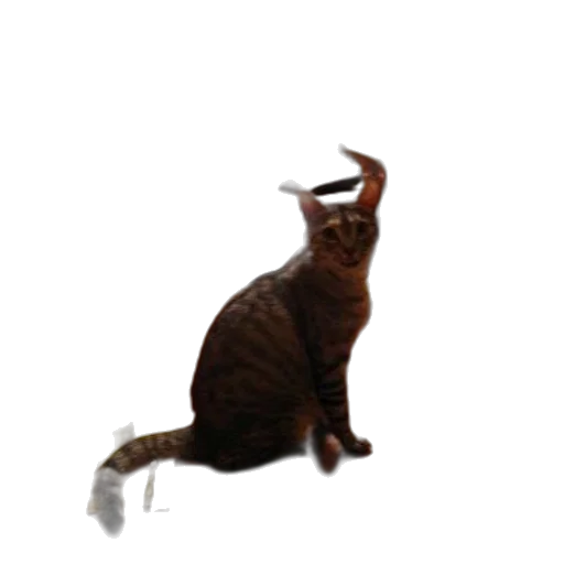 animal, creature, staff, dragon transparent PNG cut-out