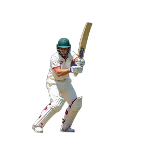 3d render, cricket, match, progress transparent PNG cut-out
