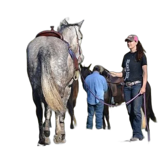 staff, animal, woman, black transparent PNG cut-out