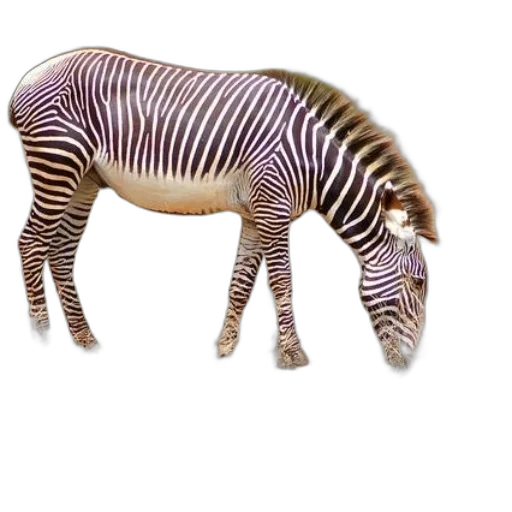 animal, creature, staff, weapon transparent PNG cut-out