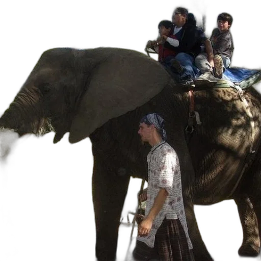 animal, staff, umbrella, creature transparent PNG cut-out