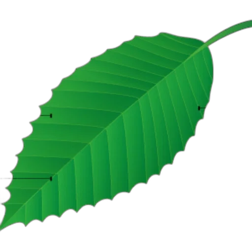umbrella, staff, crown, weapon transparent PNG cut-out
