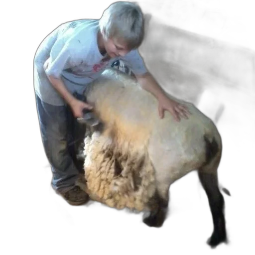 animal, creature, weapon, photorealistic transparent PNG cut-out