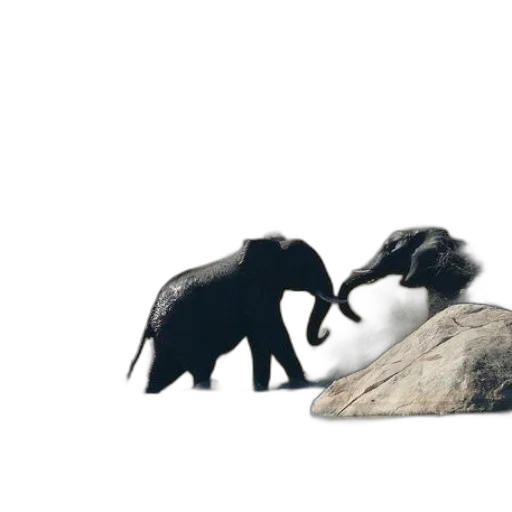 animal, 3d render, concept art, photorealistic transparent PNG cut-out