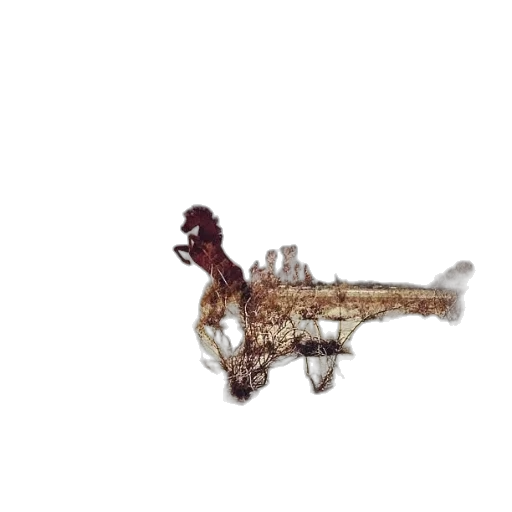 dragon, jewelry, animal, crown transparent PNG cut-out