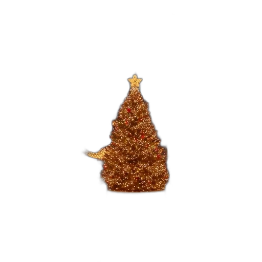 crown, hat, tree, jewelry transparent PNG cut-out