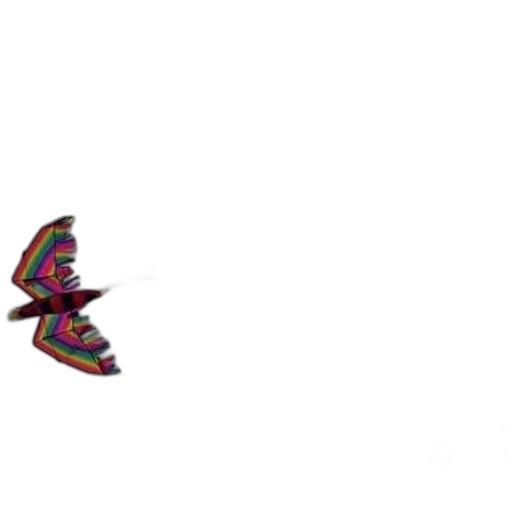 shoes, umbrella, animal, hat transparent PNG cut-out