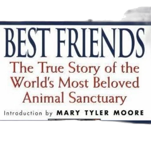 best, friends, true, story transparent PNG cut-out