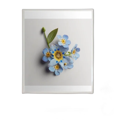 flower, jewelry, crown, photorealistic transparent PNG cut-out